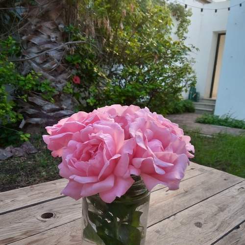 Photo #7245855