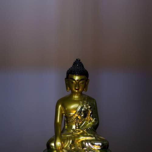 Photo #7246114