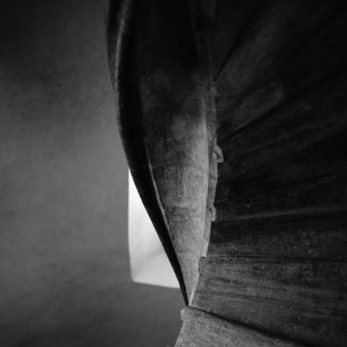Photo #7246432