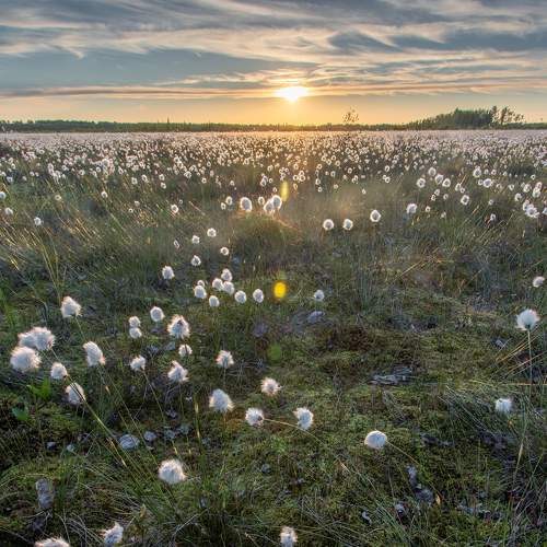 Photo #7246459