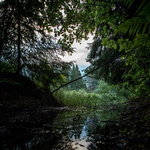 Photo #7246488
