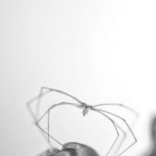 Photo #7246618