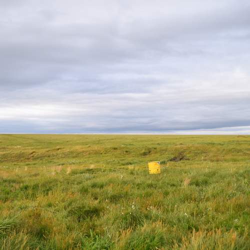 Photo #7246678