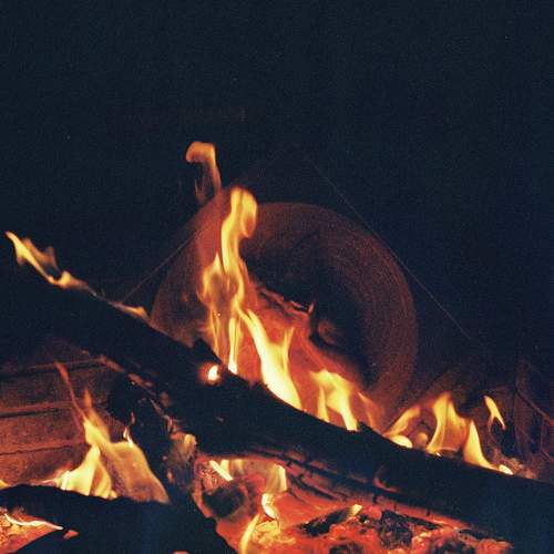 Photo #7246970