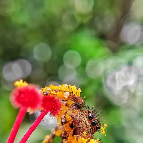 Photo #7247103