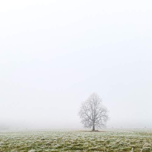 Photo #7247127