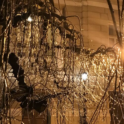Photo #7247143