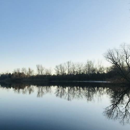 Photo #7247155