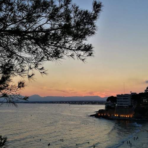 Photo #7247347