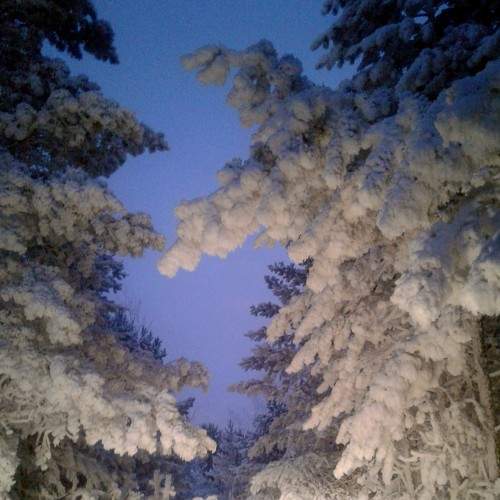 Photo #7247684