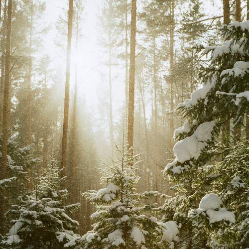 Photo #7247803