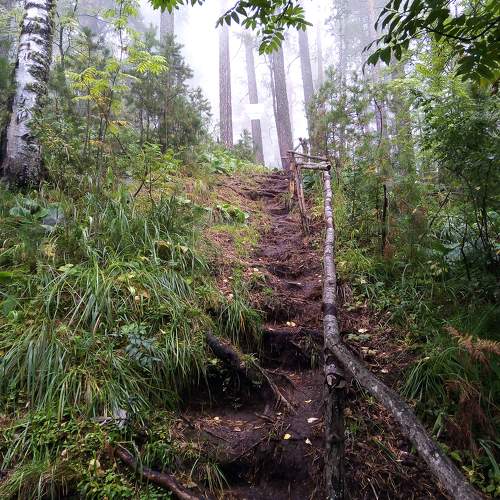 Photo #7248001