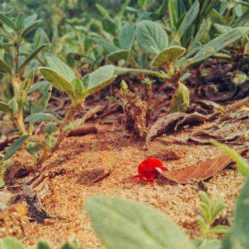 Photo #7248091