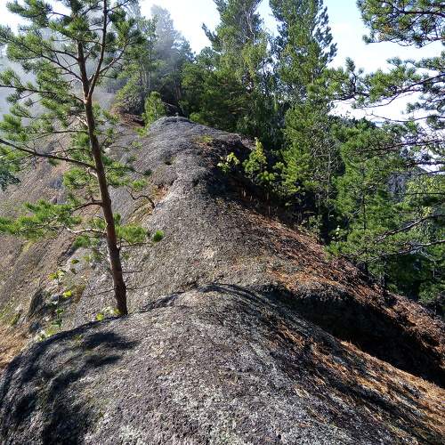 Photo #7248111