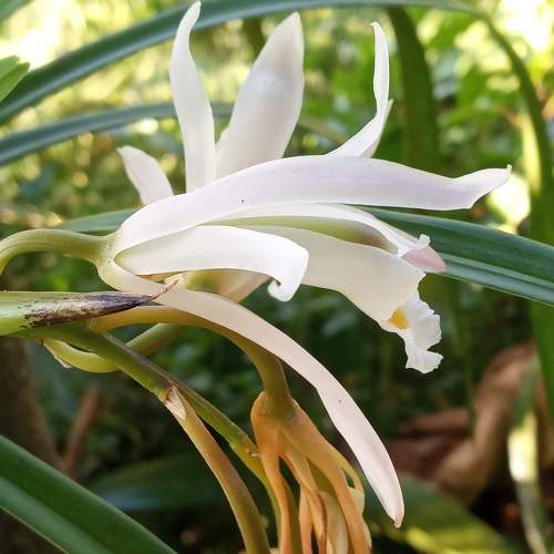 Photo #7248265