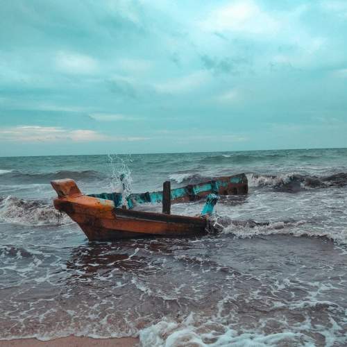 Photo #7248348