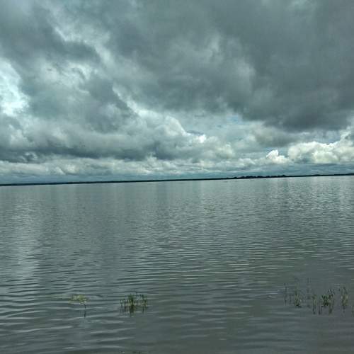 Photo #7248354