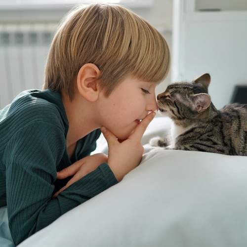 Photo #7248761