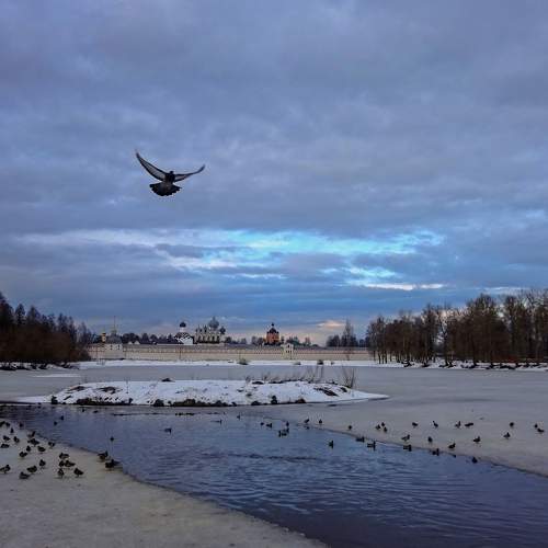 Утиная купель