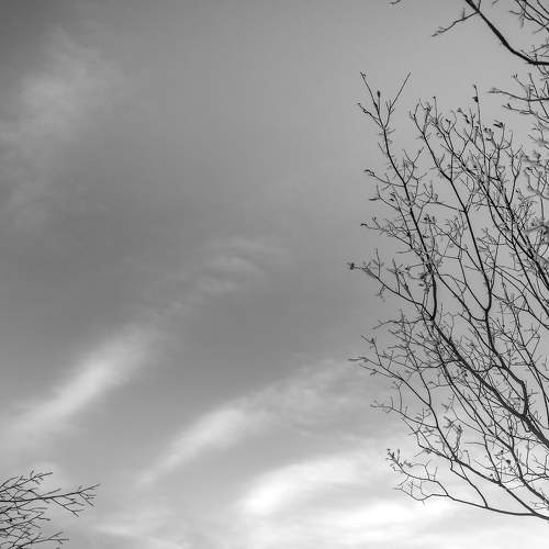 Photo #7248917