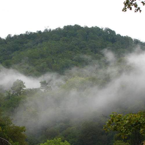 Photo #7249212