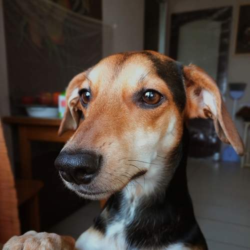 Photo #7249718