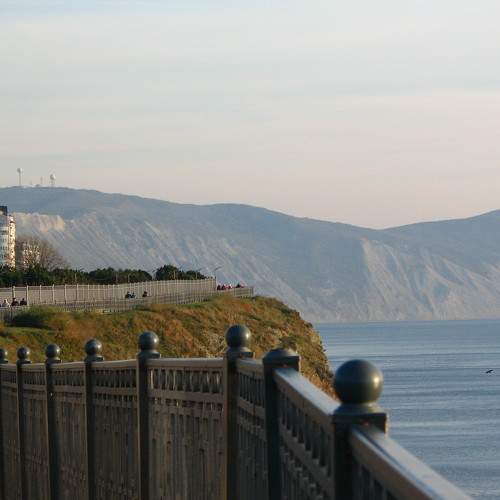 Photo #7250292