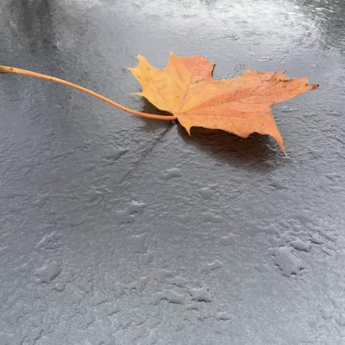 Photo #7250312