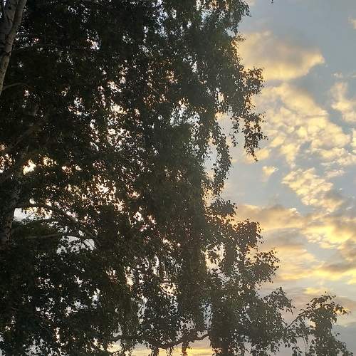 Photo #7250807