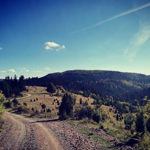 Photo #7251384