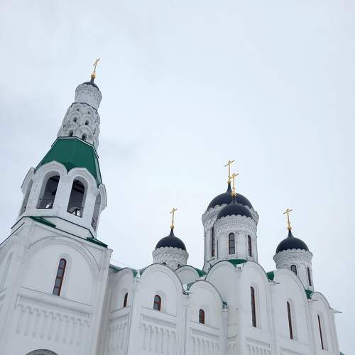 Photo #7251412
