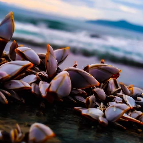 Photo #7251571
