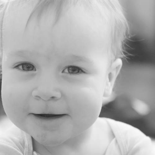 Photo #7251616