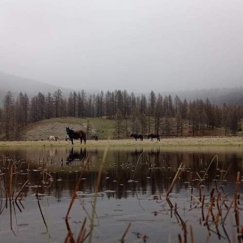 Photo #7251810