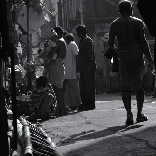 Photo #7251956