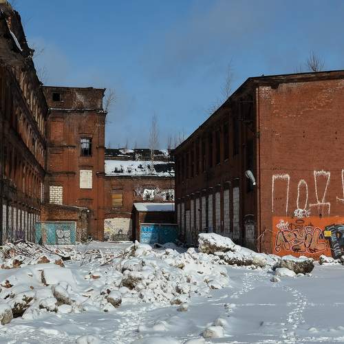 Photo #7251969