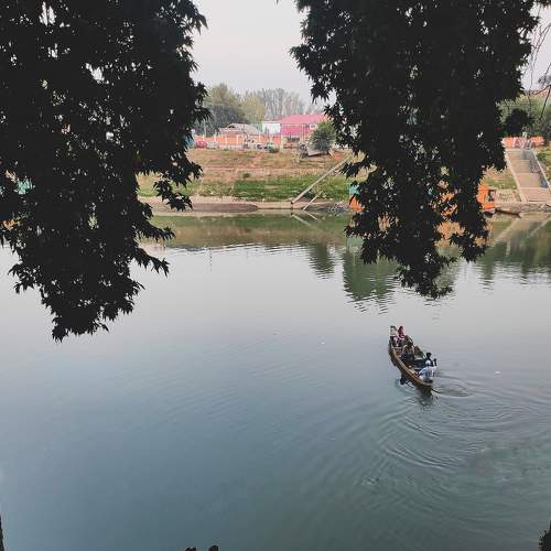 Photo #7252330