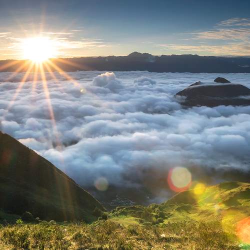 Photo #7252440