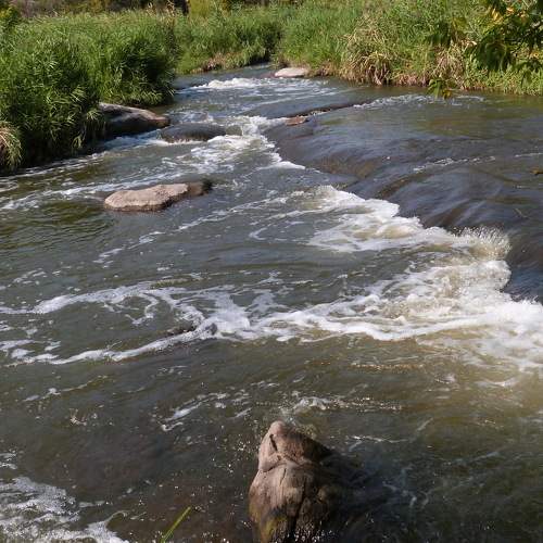 Photo #7252639
