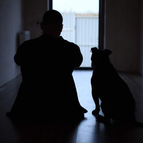 Photo #7252773