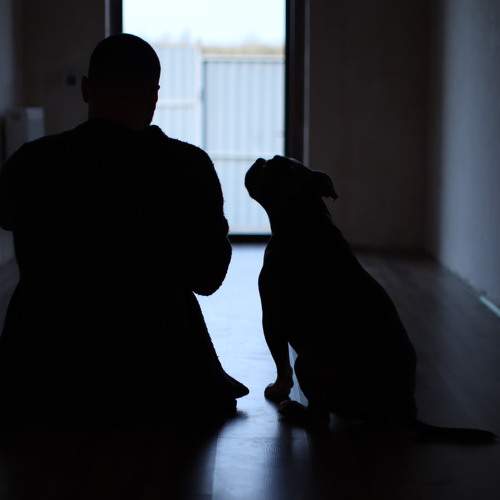 Photo #7252797
