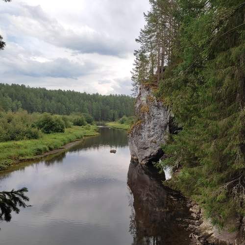 Photo #7252912