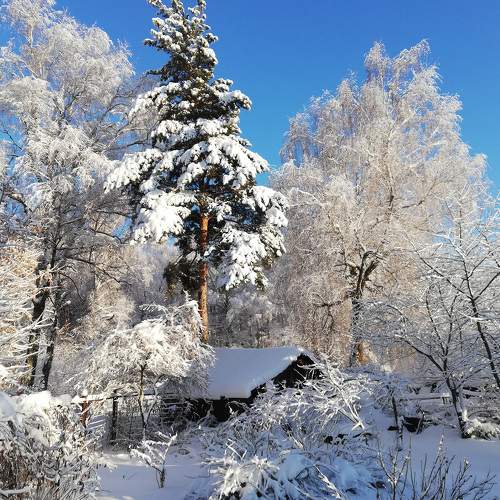 Photo #7252970