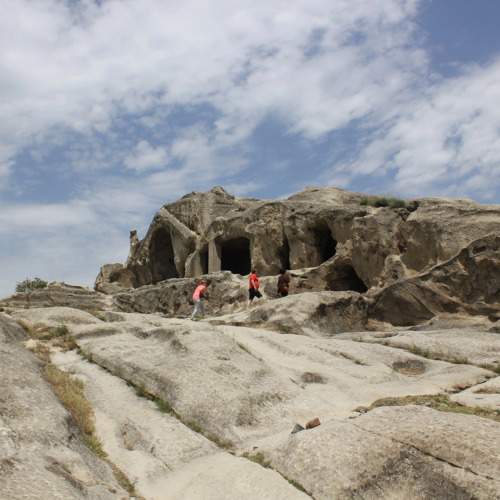 Photo #7252994
