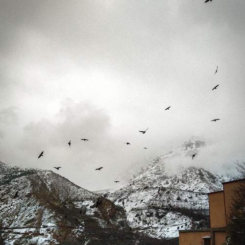 Photo #7253355