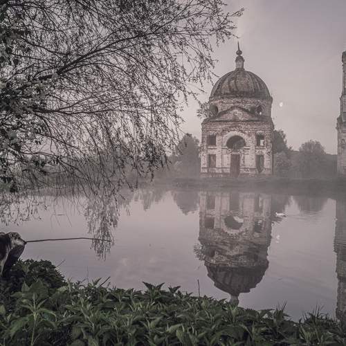 Photo #7253546