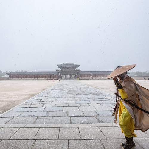 Guaeds of Gwanghwamun