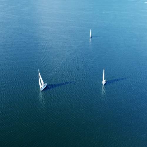 Photo #7253736