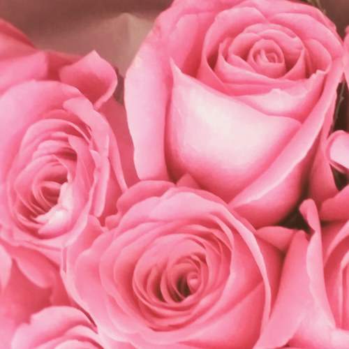 Photo #7253897
