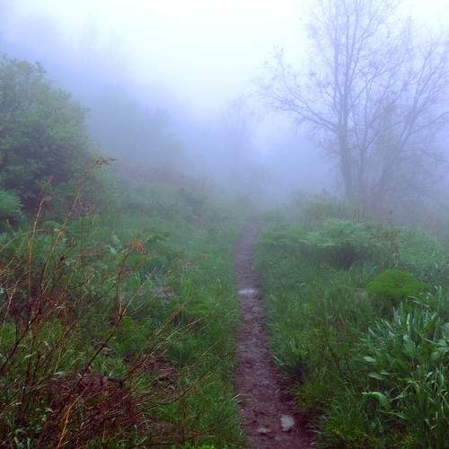 Reserve in the fog. Kazakhstan